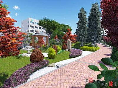 迪愛(ài)生辦公區(qū)景觀